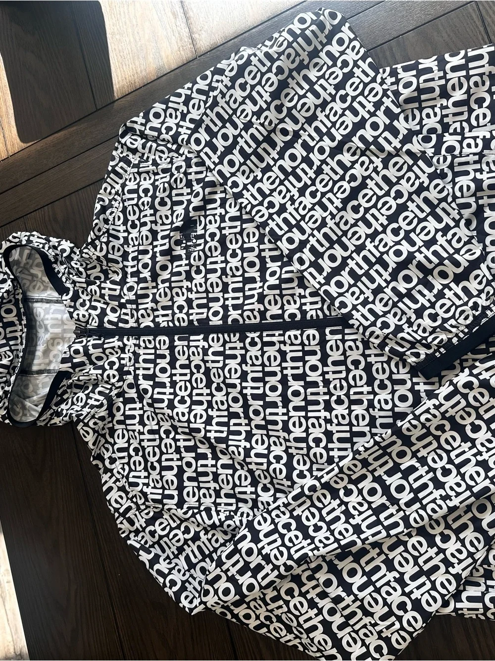 The North Face Cyclone Wind Hoodie